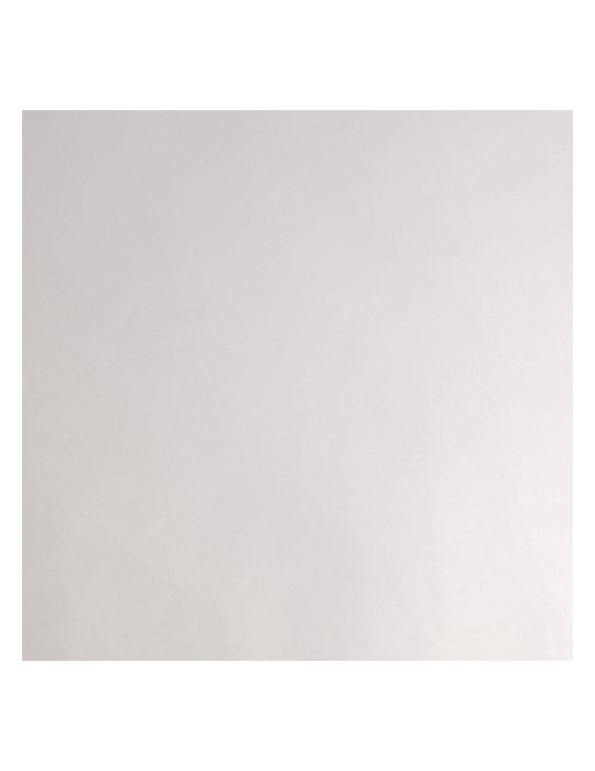 P6877B - Polyester Argent Brillant